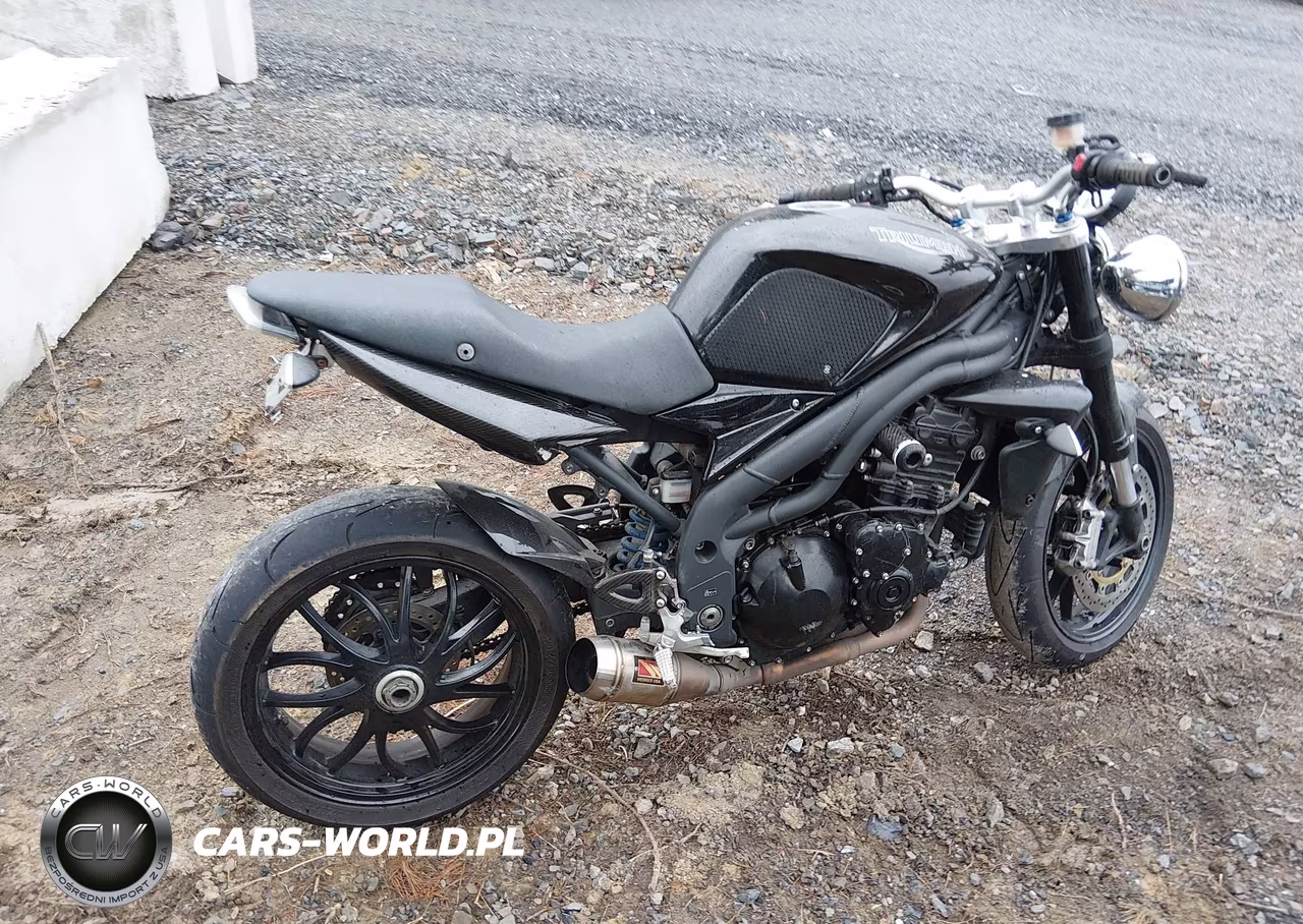 2009 Triumph Motorcycle Speed Triple VIN:SMT500PK49J382331 - 12