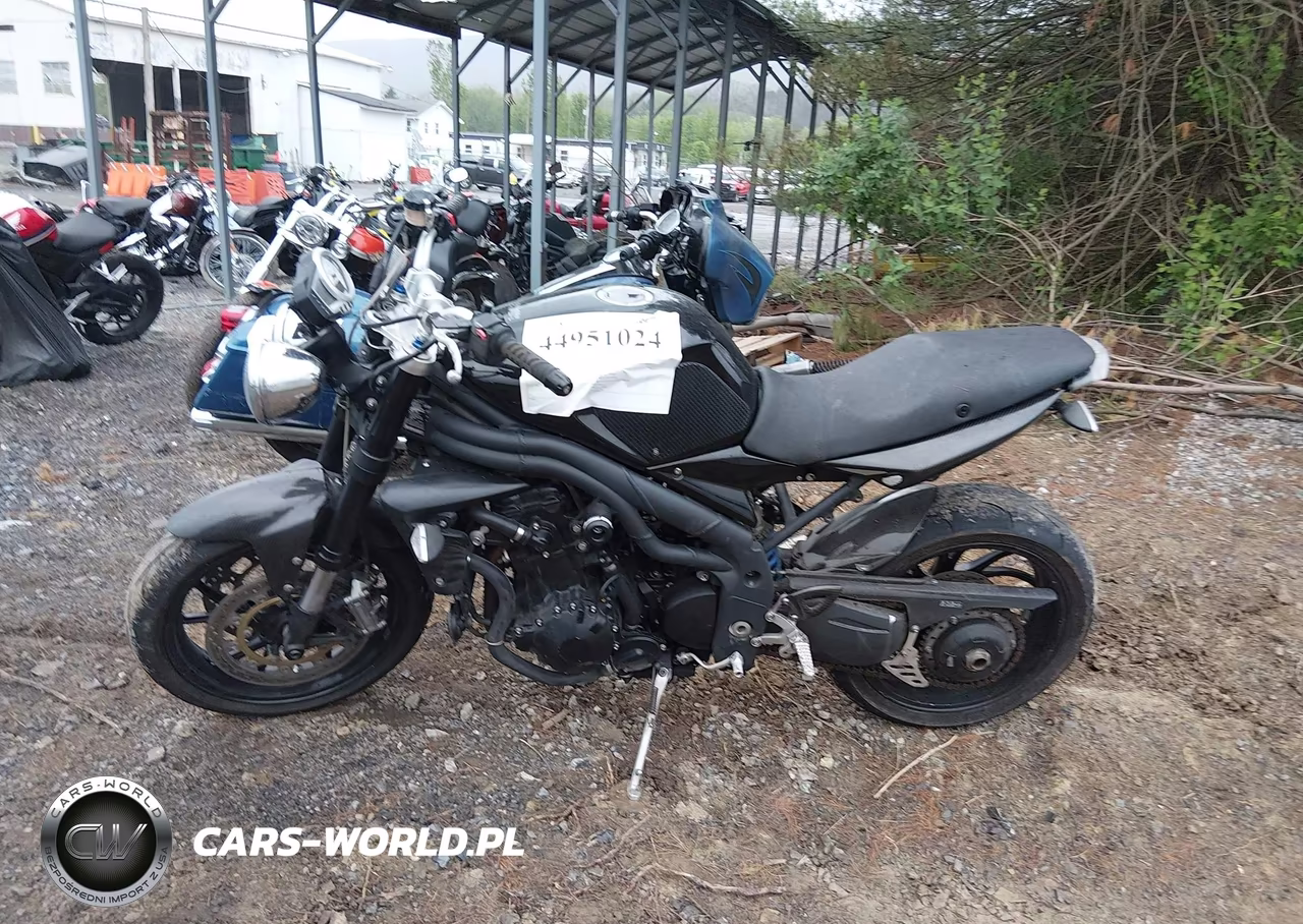 2009 Triumph Motorcycle Speed Triple VIN:SMT500PK49J382331 - 13