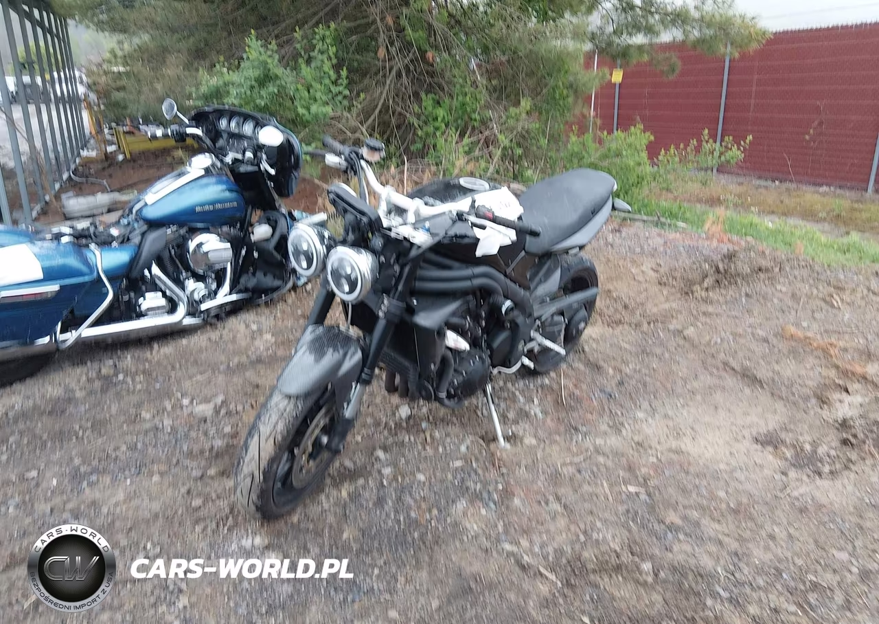 2009 Triumph Motorcycle Speed Triple VIN:SMT500PK49J382331 - 2
