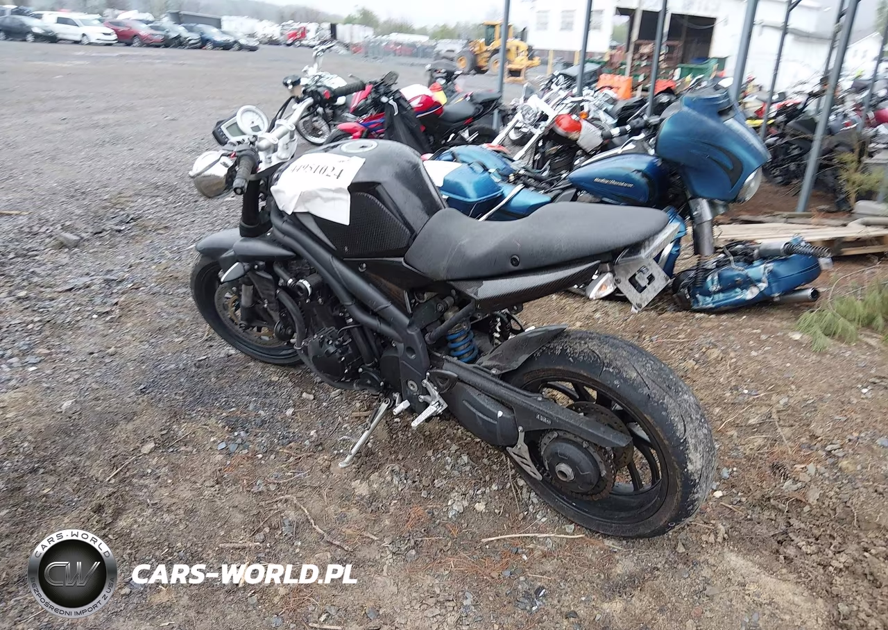 2009 Triumph Motorcycle Speed Triple VIN:SMT500PK49J382331 - 3