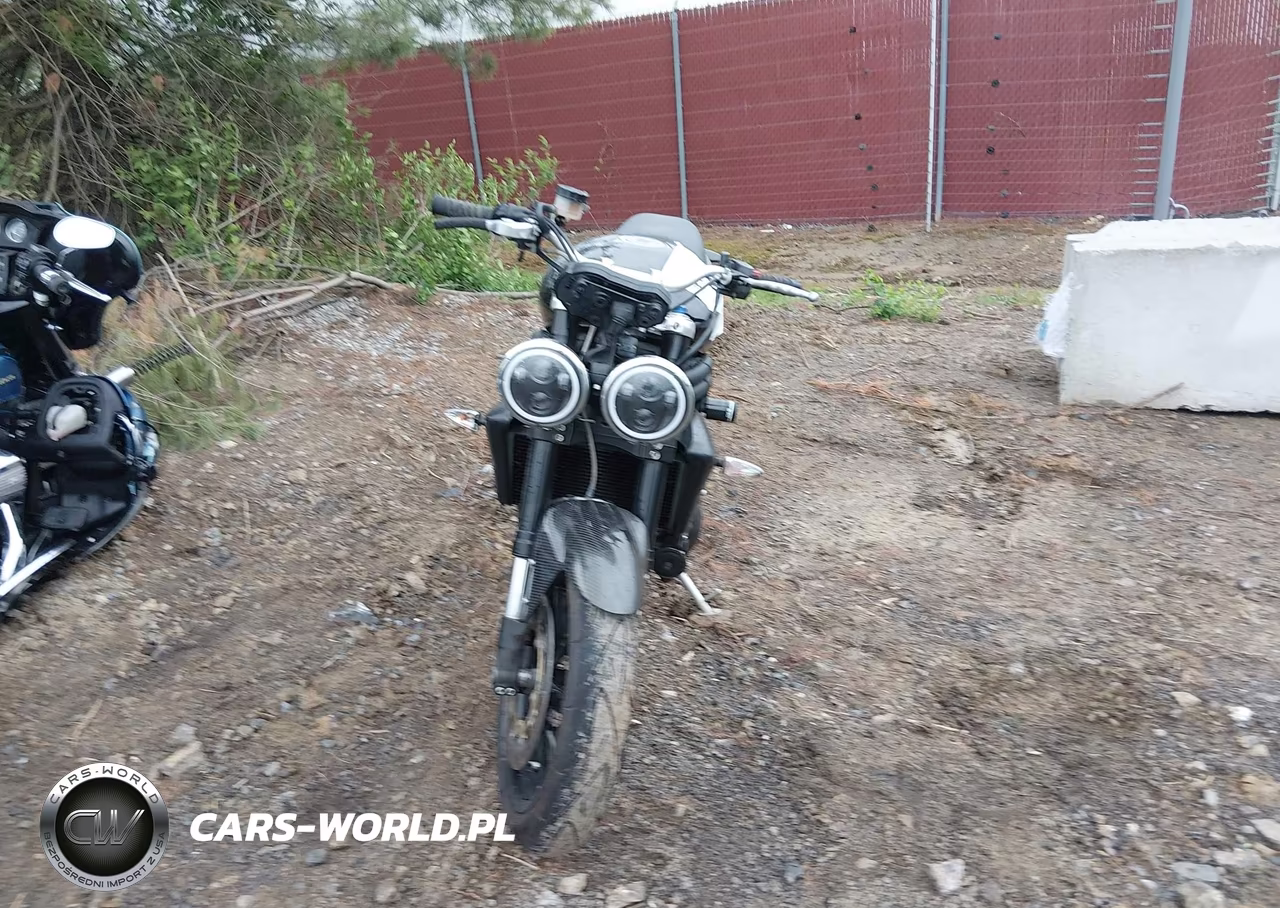 2009 Triumph Motorcycle Speed Triple VIN:SMT500PK49J382331 - 5
