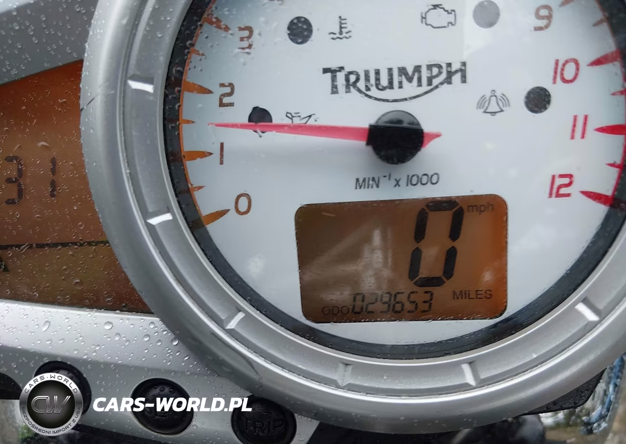 2009 Triumph Motorcycle Speed Triple VIN:SMT500PK49J382331 - 7