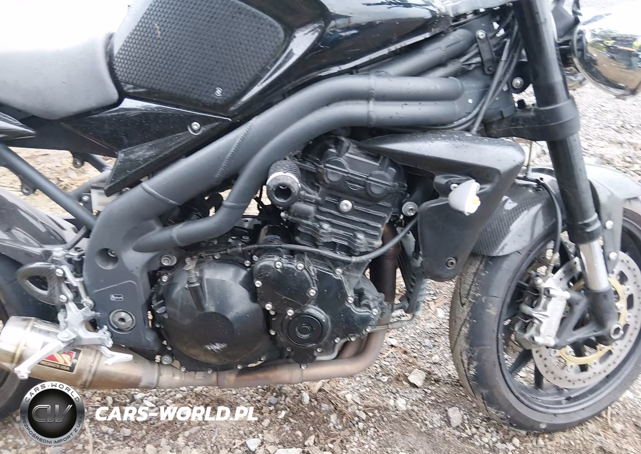 2009 Triumph Motorcycle Speed Triple VIN:SMT500PK49J382331 - 8