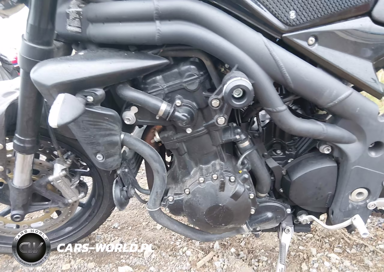 2009 Triumph Motorcycle Speed Triple VIN:SMT500PK49J382331 - 9