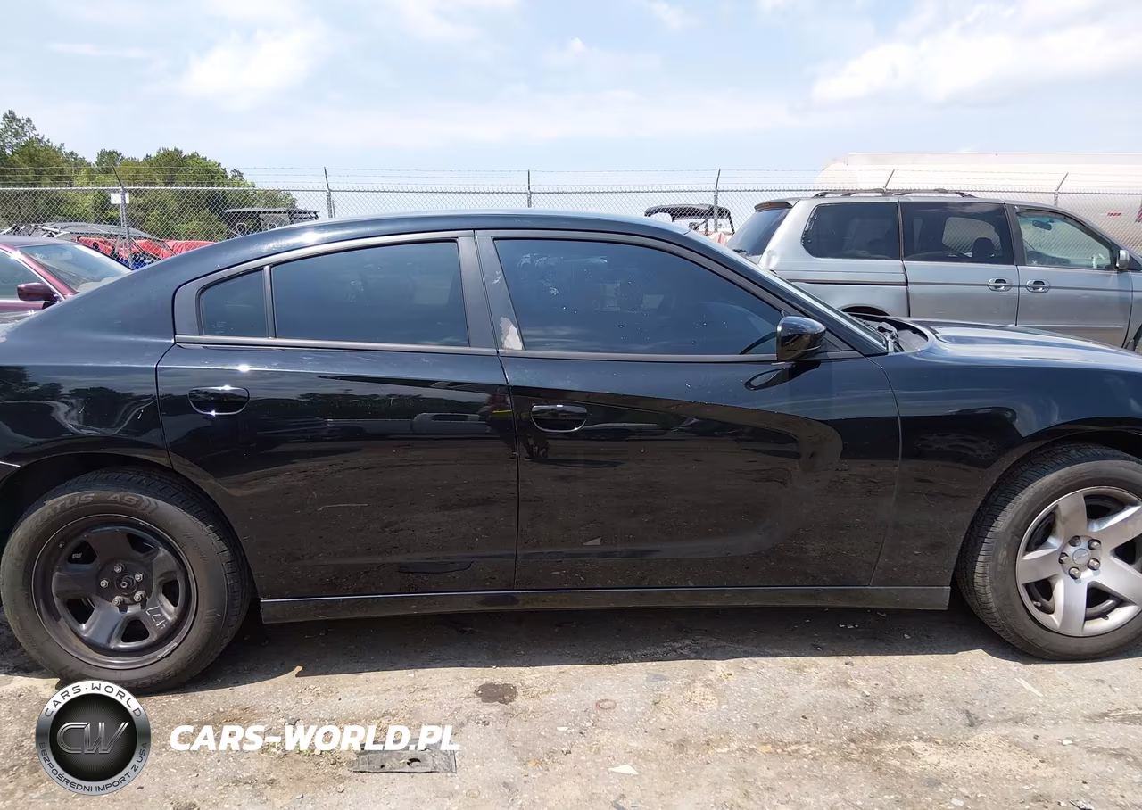 2015 Dodge Charger Police VIN:2C3CDXAG3FH841468 - 13