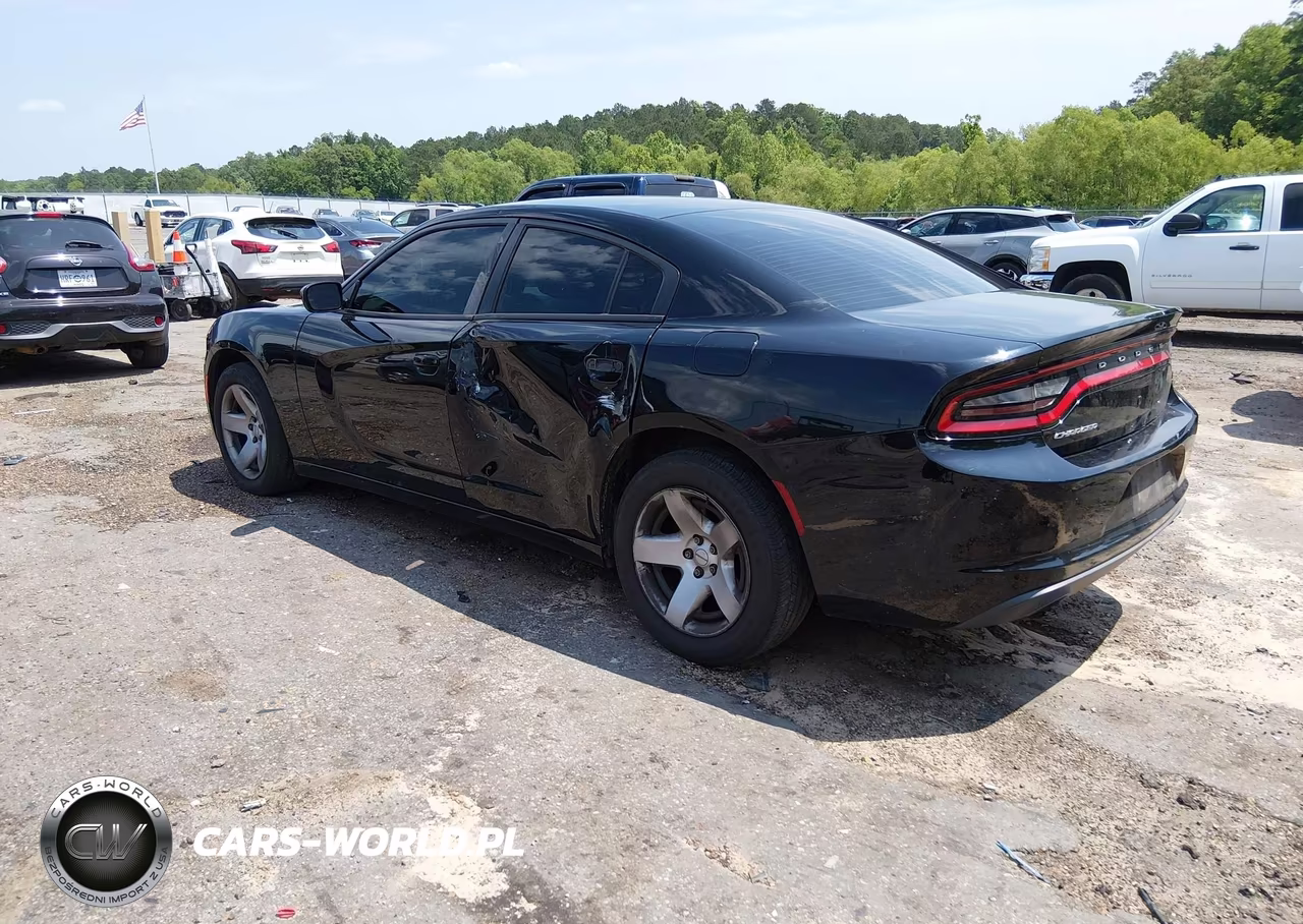 2015 Dodge Charger Police VIN:2C3CDXAG3FH841468 - 3