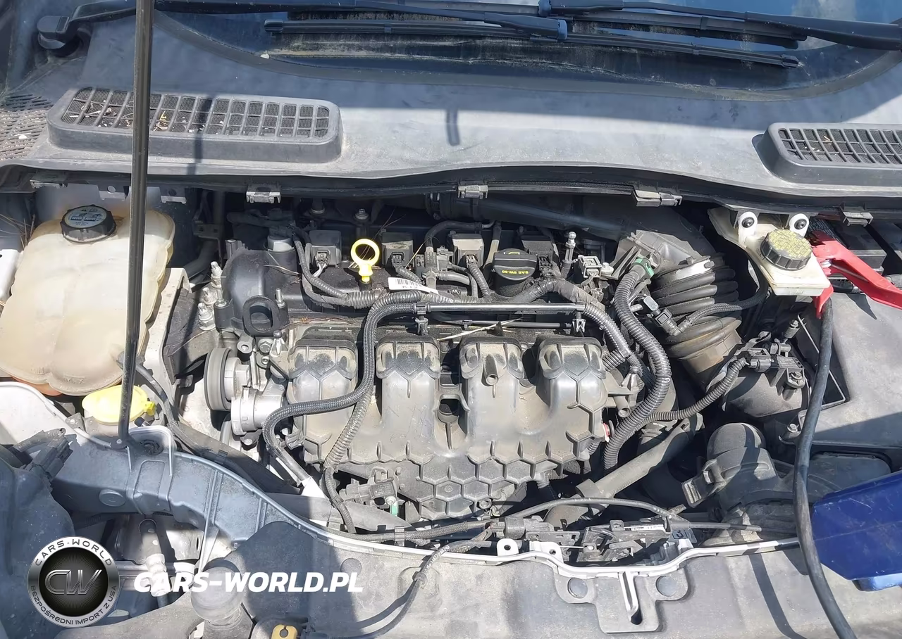 2013 Ford Escape Sel VIN:1FMCU9H97DUB20672 - 10