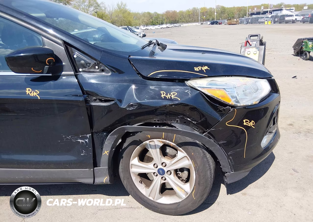 2016 Ford Escape Se VIN:1FMCU9G93GUC31922 - 12