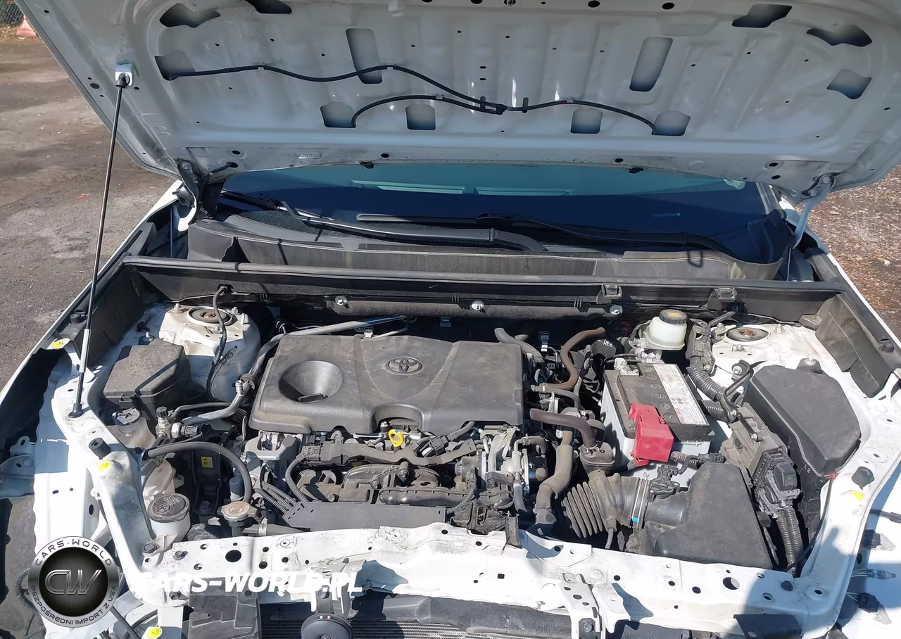 2019 Toyota Rav4 Limited VIN:JTMN1RFV3KD519582 - 10
