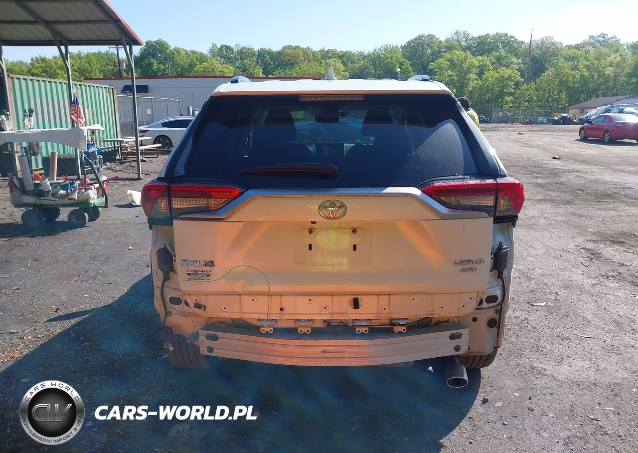 2019 Toyota Rav4 Limited VIN:JTMN1RFV3KD519582 - 17