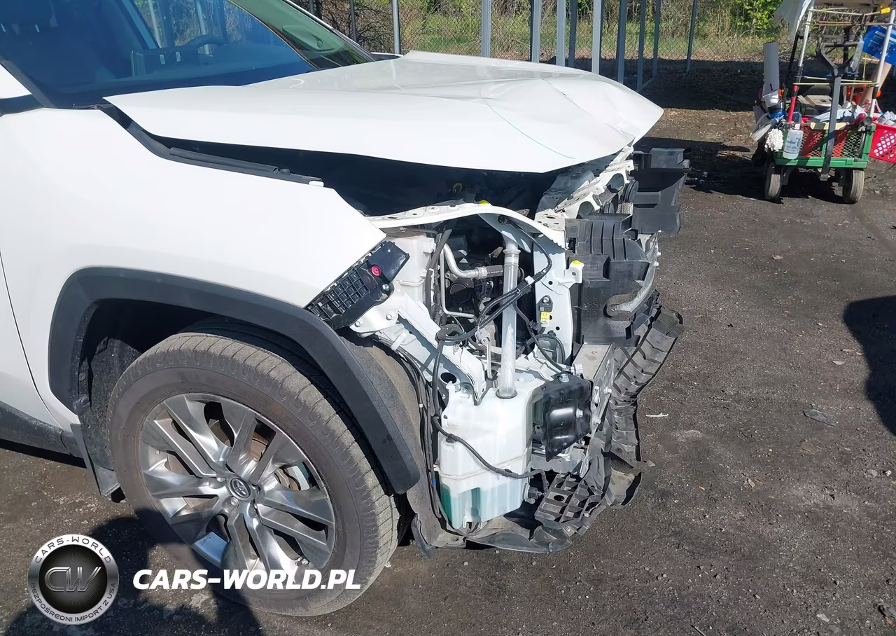 2019 Toyota Rav4 Limited VIN:JTMN1RFV3KD519582 - 18