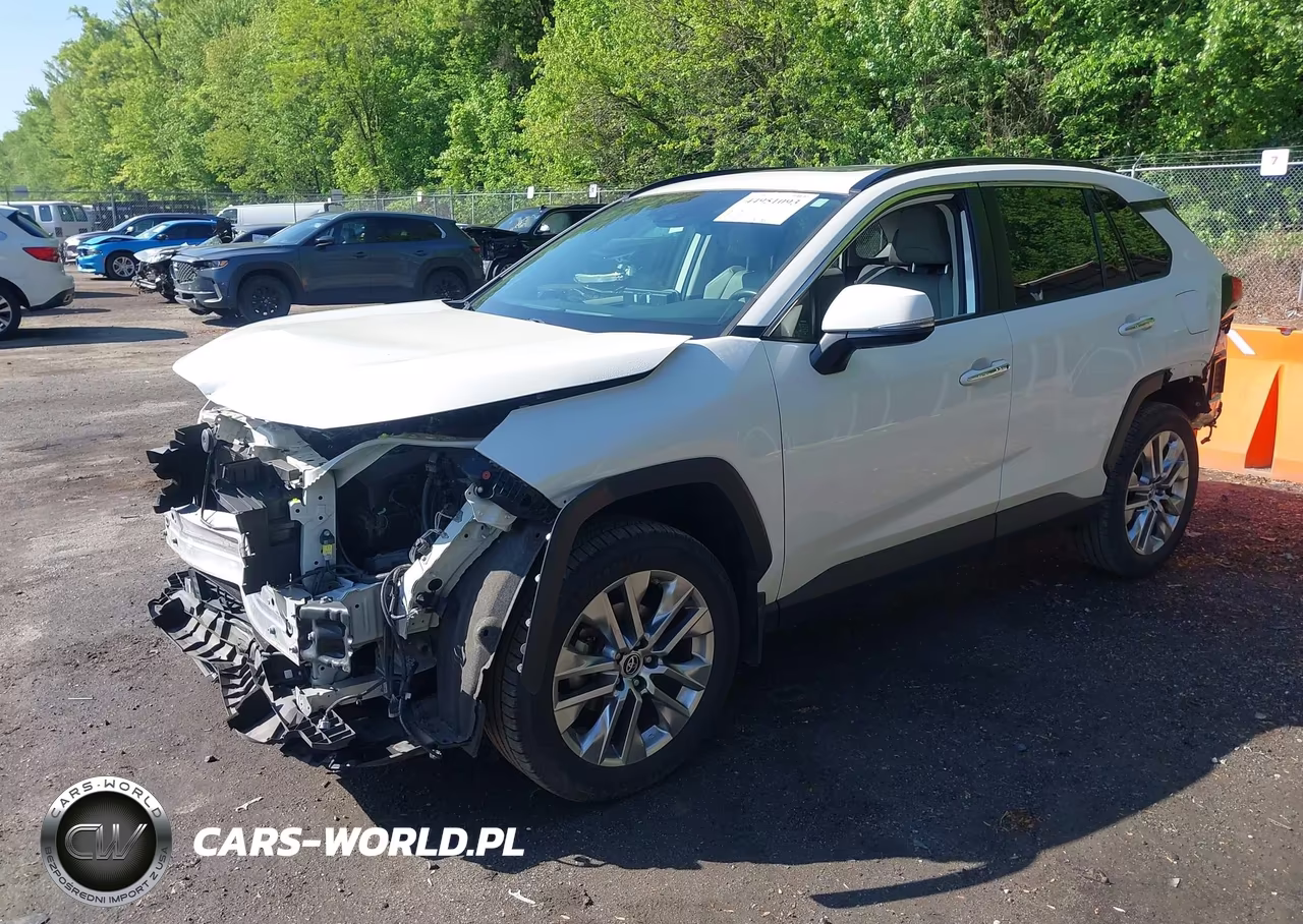 2019 Toyota Rav4 Limited VIN:JTMN1RFV3KD519582 - 2