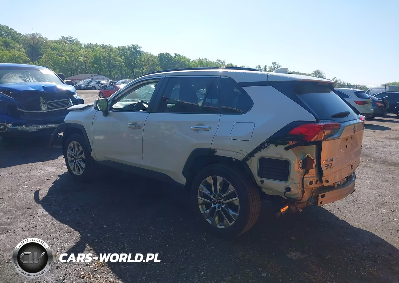 2019 Toyota Rav4 Limited VIN:JTMN1RFV3KD519582 - 3