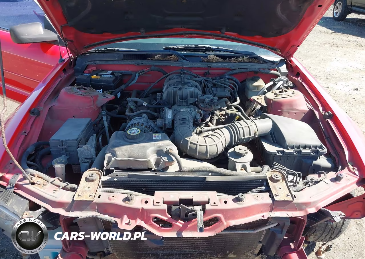 2006 Ford Mustang V6 VIN:1ZVFT80N465244724 - 10