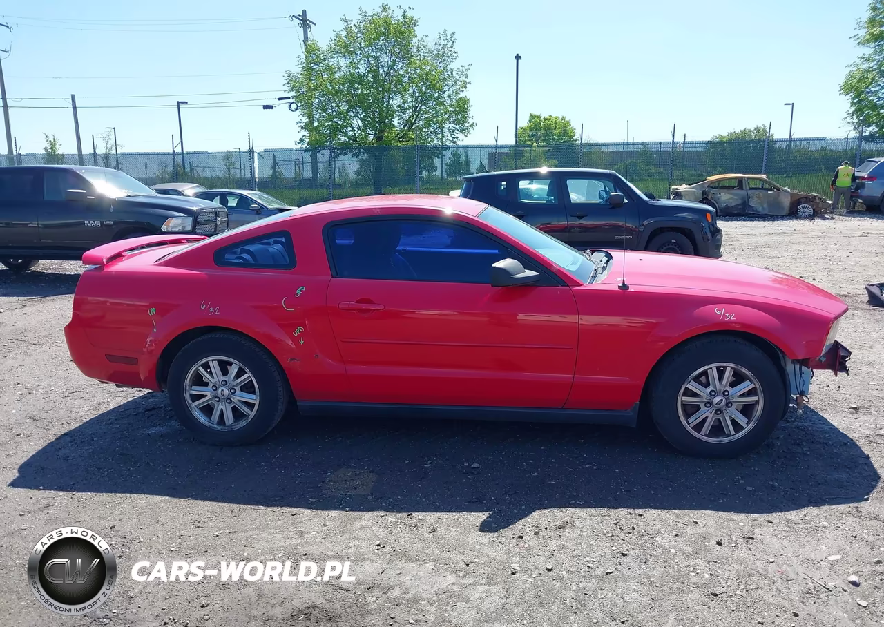 2006 Ford Mustang V6 VIN:1ZVFT80N465244724 - 14