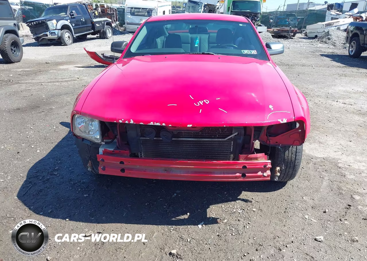 2006 Ford Mustang V6 VIN:1ZVFT80N465244724 - 6