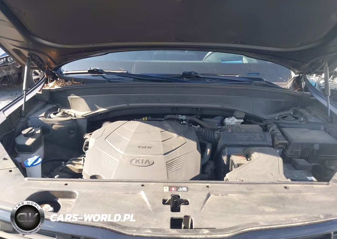 2021 Kia Telluride Sx VIN:5XYP5DHC3MG164025 - 10