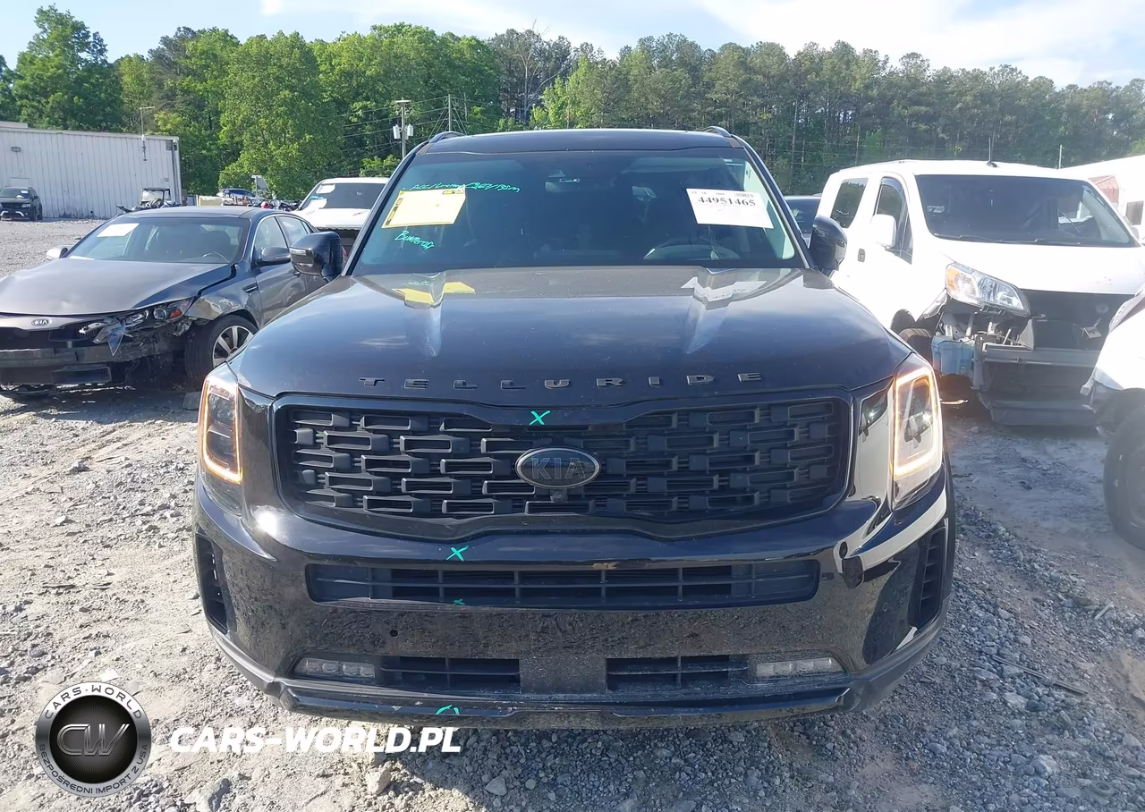 2021 Kia Telluride Sx VIN:5XYP5DHC3MG164025 - 12