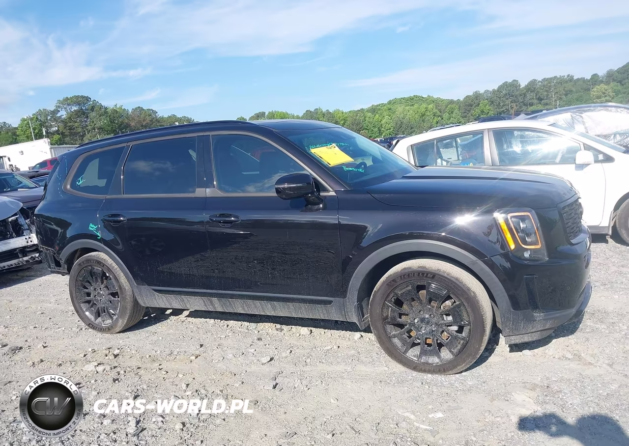 2021 Kia Telluride Sx VIN:5XYP5DHC3MG164025 - 13