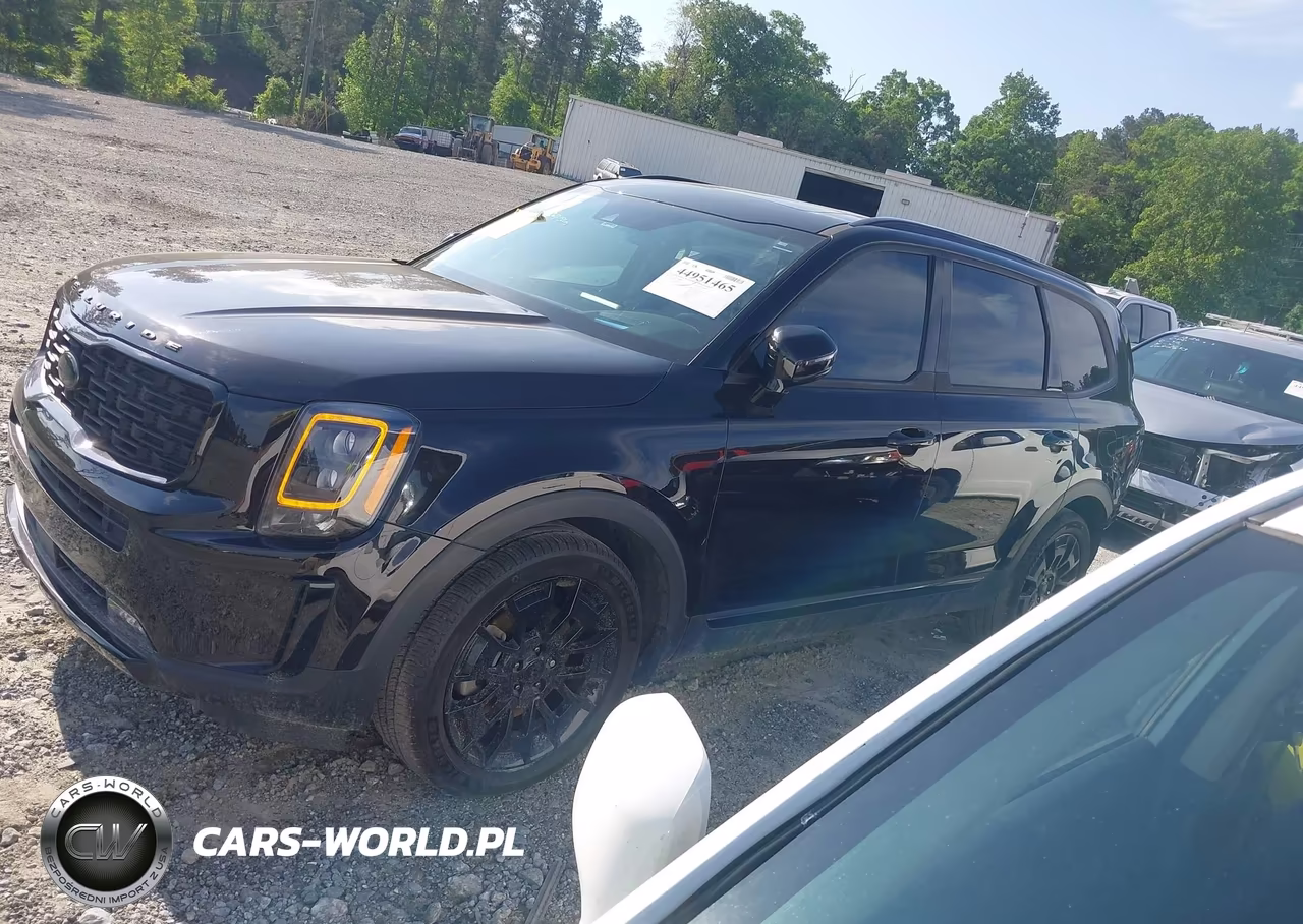 2021 Kia Telluride Sx VIN:5XYP5DHC3MG164025 - 14