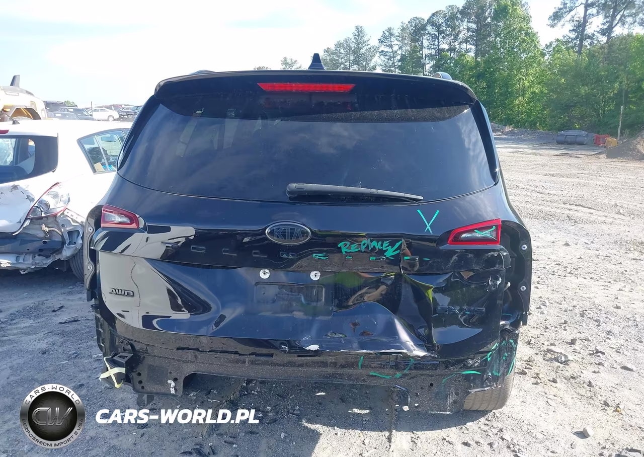2021 Kia Telluride Sx VIN:5XYP5DHC3MG164025 - 16