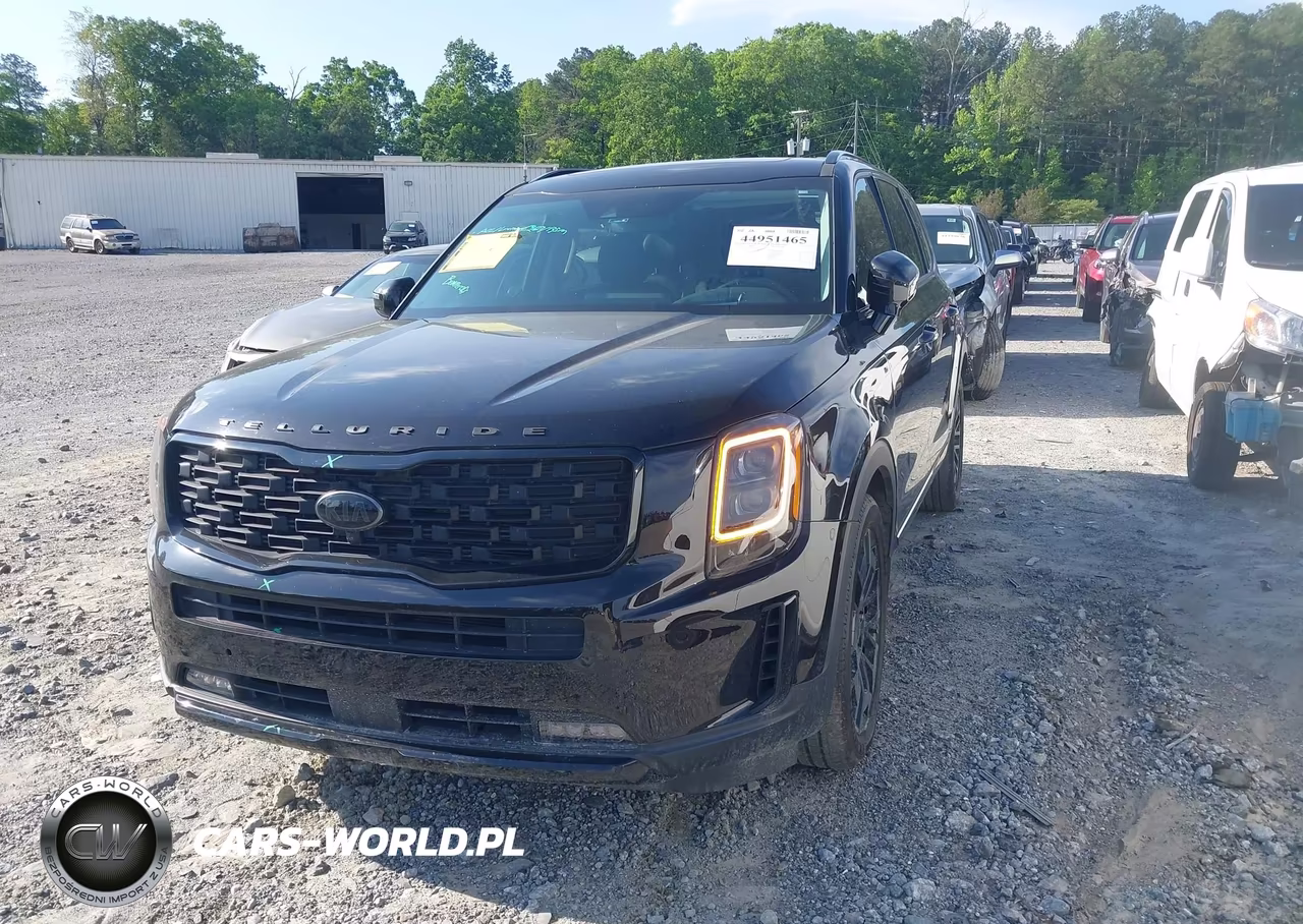 2021 Kia Telluride Sx VIN:5XYP5DHC3MG164025 - 2