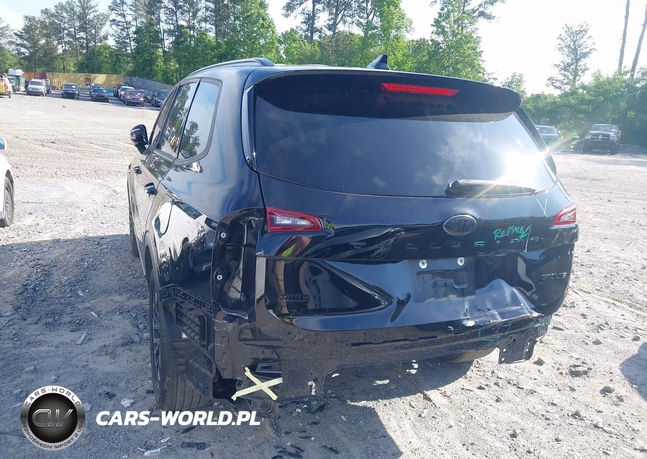 2021 Kia Telluride Sx VIN:5XYP5DHC3MG164025 - 3
