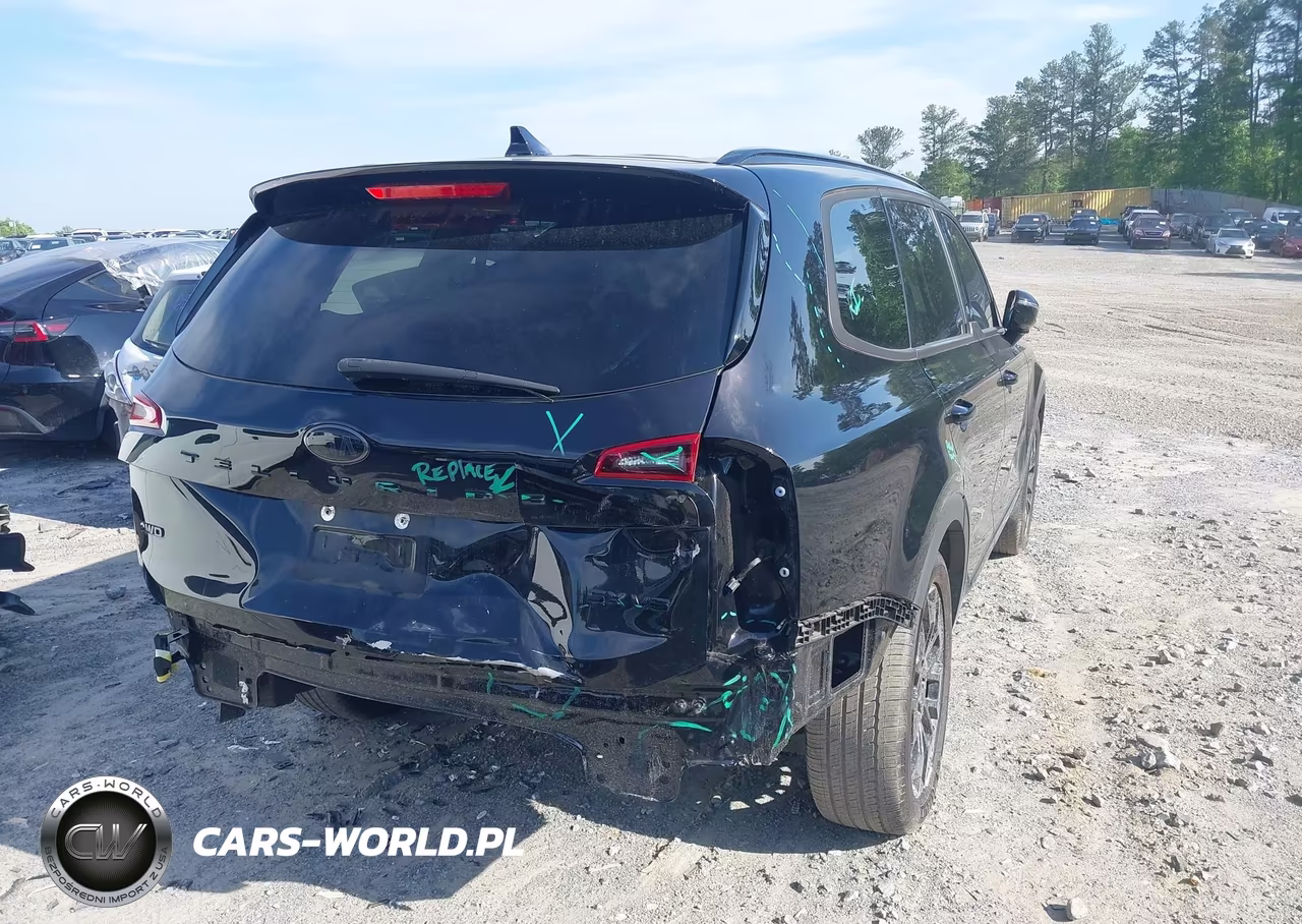 2021 Kia Telluride Sx VIN:5XYP5DHC3MG164025 - 4