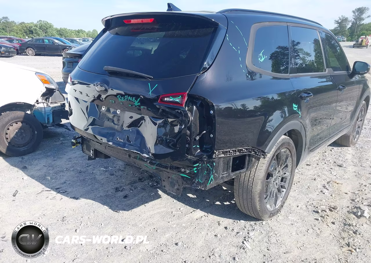 2021 Kia Telluride Sx VIN:5XYP5DHC3MG164025 - 6