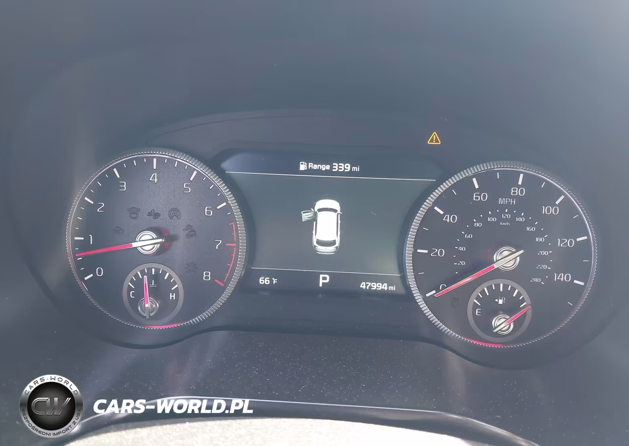 2021 Kia Telluride Sx VIN:5XYP5DHC3MG164025 - 7