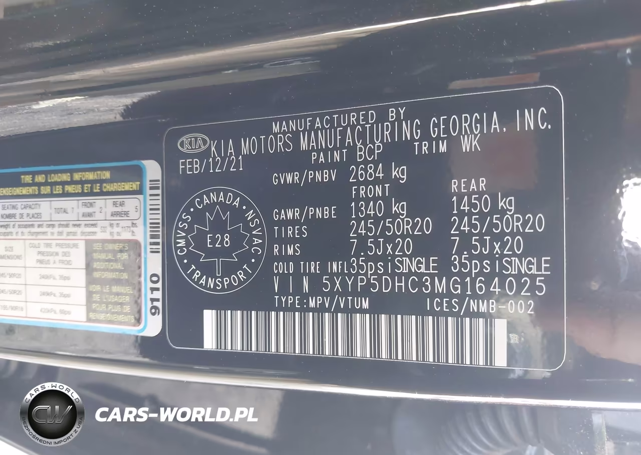 2021 Kia Telluride Sx VIN:5XYP5DHC3MG164025 - 9