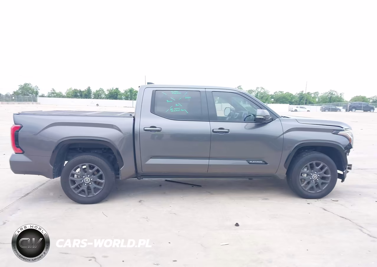 2022 Toyota Tundra Platinum VIN:5TFNA5DB1NX014998 - 13