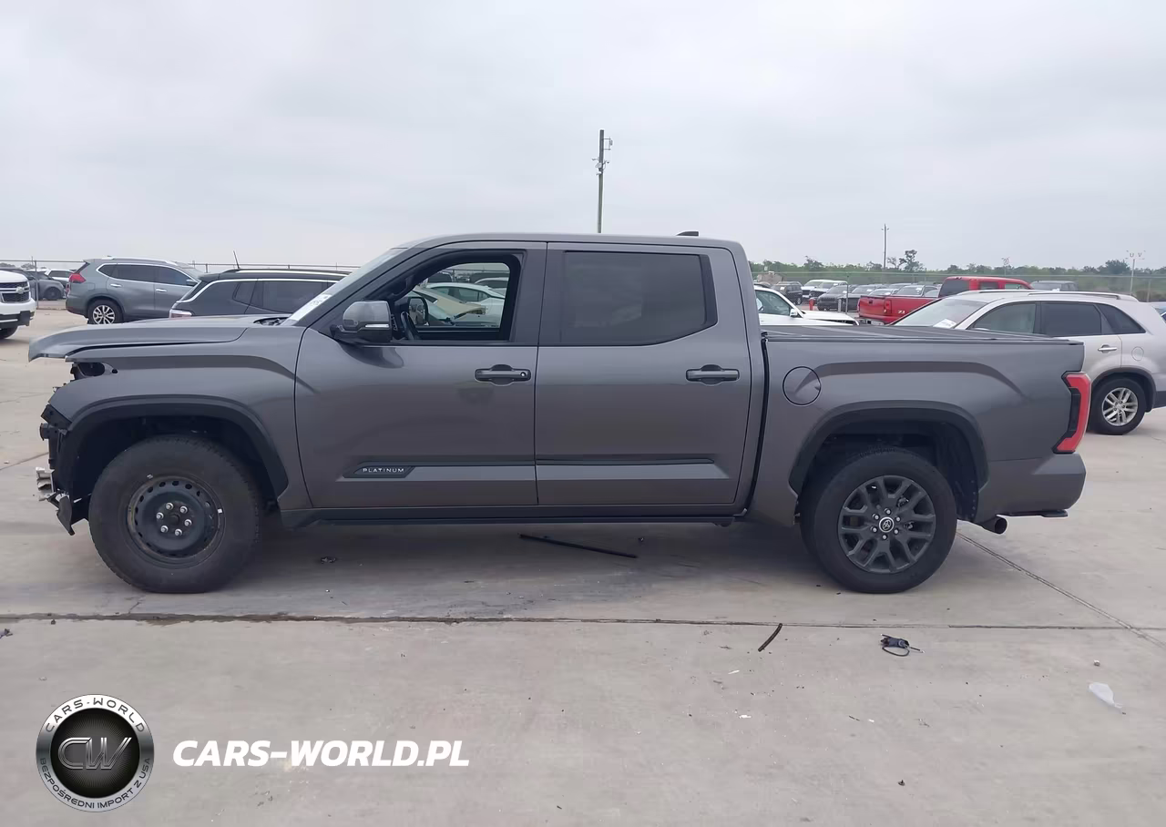 2022 Toyota Tundra Platinum VIN:5TFNA5DB1NX014998 - 14