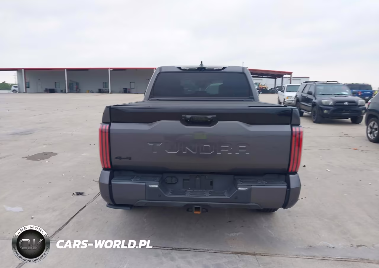 2022 Toyota Tundra Platinum VIN:5TFNA5DB1NX014998 - 16