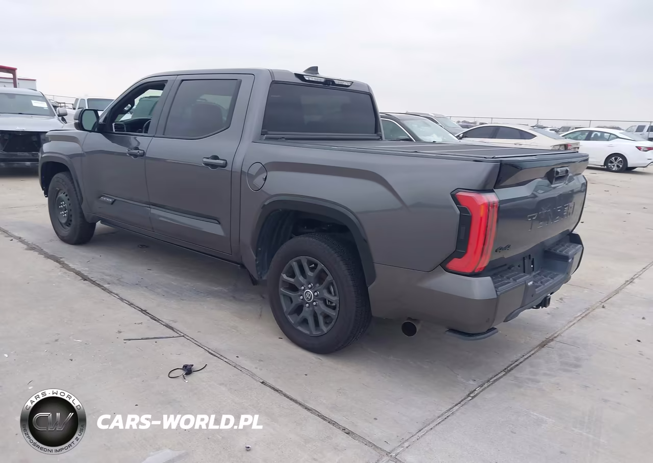 2022 Toyota Tundra Platinum VIN:5TFNA5DB1NX014998 - 3