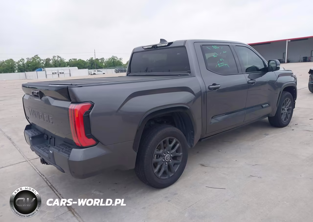 2022 Toyota Tundra Platinum VIN:5TFNA5DB1NX014998 - 4