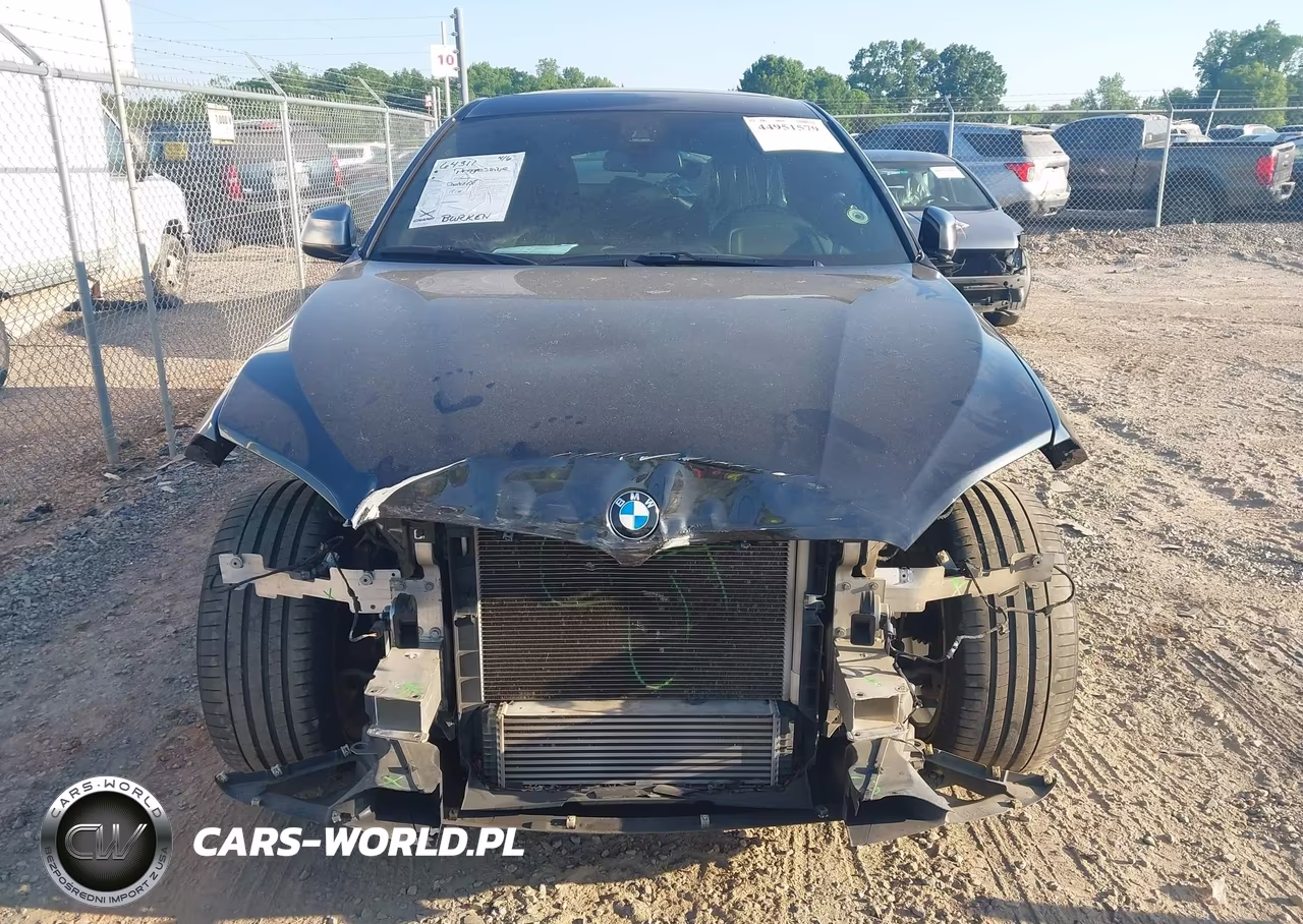 2019 BMW X6 xDrive35I VIN:5UXKU2C5XK0Z64378 - 12
