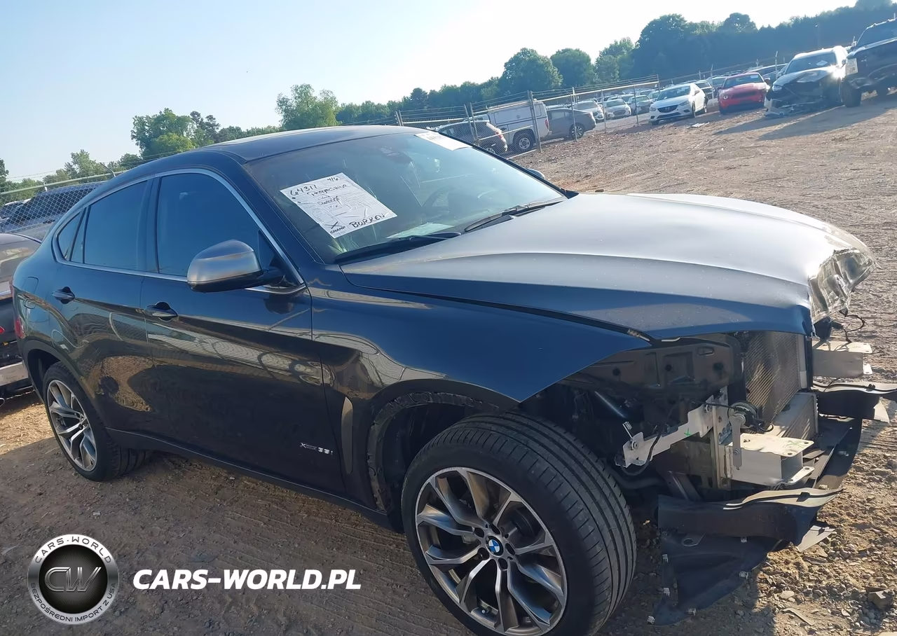 2019 BMW X6 xDrive35I VIN:5UXKU2C5XK0Z64378 - 13