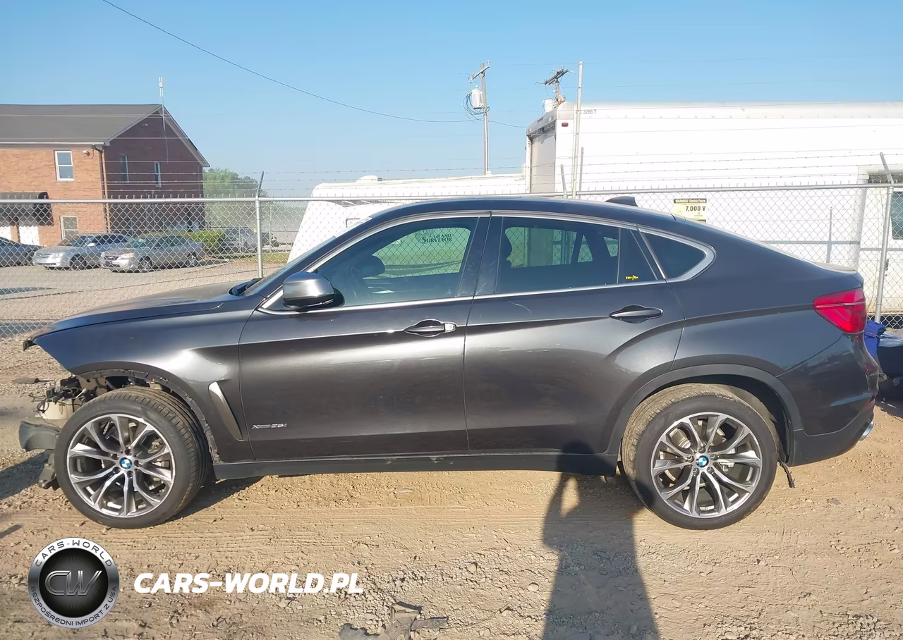 2019 BMW X6 xDrive35I VIN:5UXKU2C5XK0Z64378 - 14
