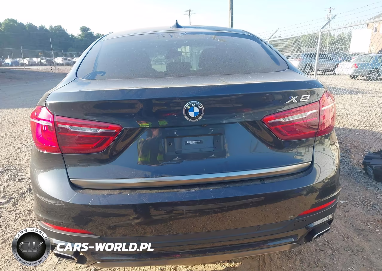 2019 BMW X6 xDrive35I VIN:5UXKU2C5XK0Z64378 - 16