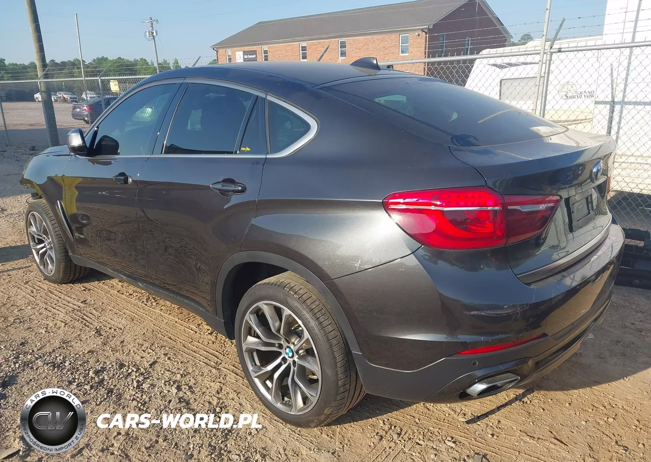 2019 BMW X6 xDrive35I VIN:5UXKU2C5XK0Z64378 - 3