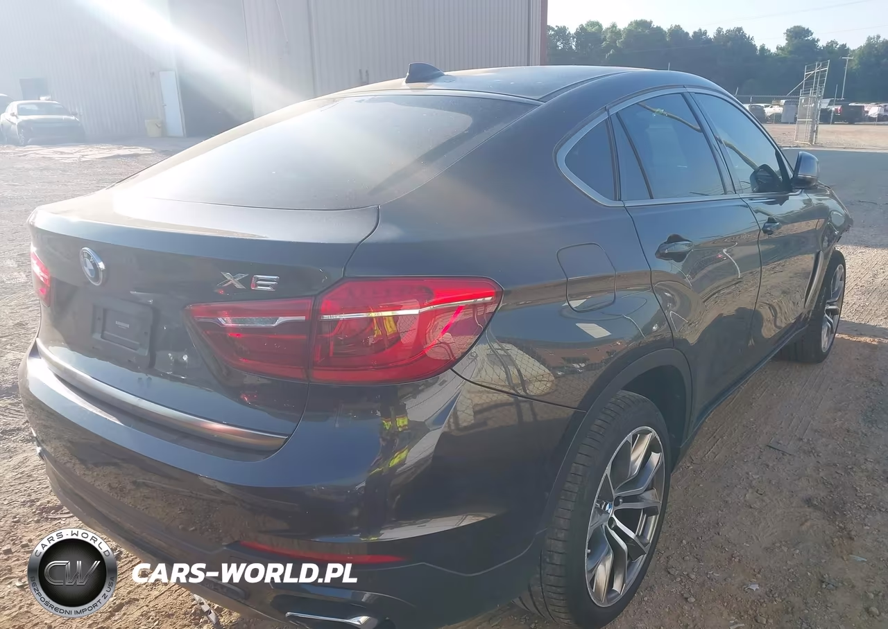 2019 BMW X6 xDrive35I VIN:5UXKU2C5XK0Z64378 - 4