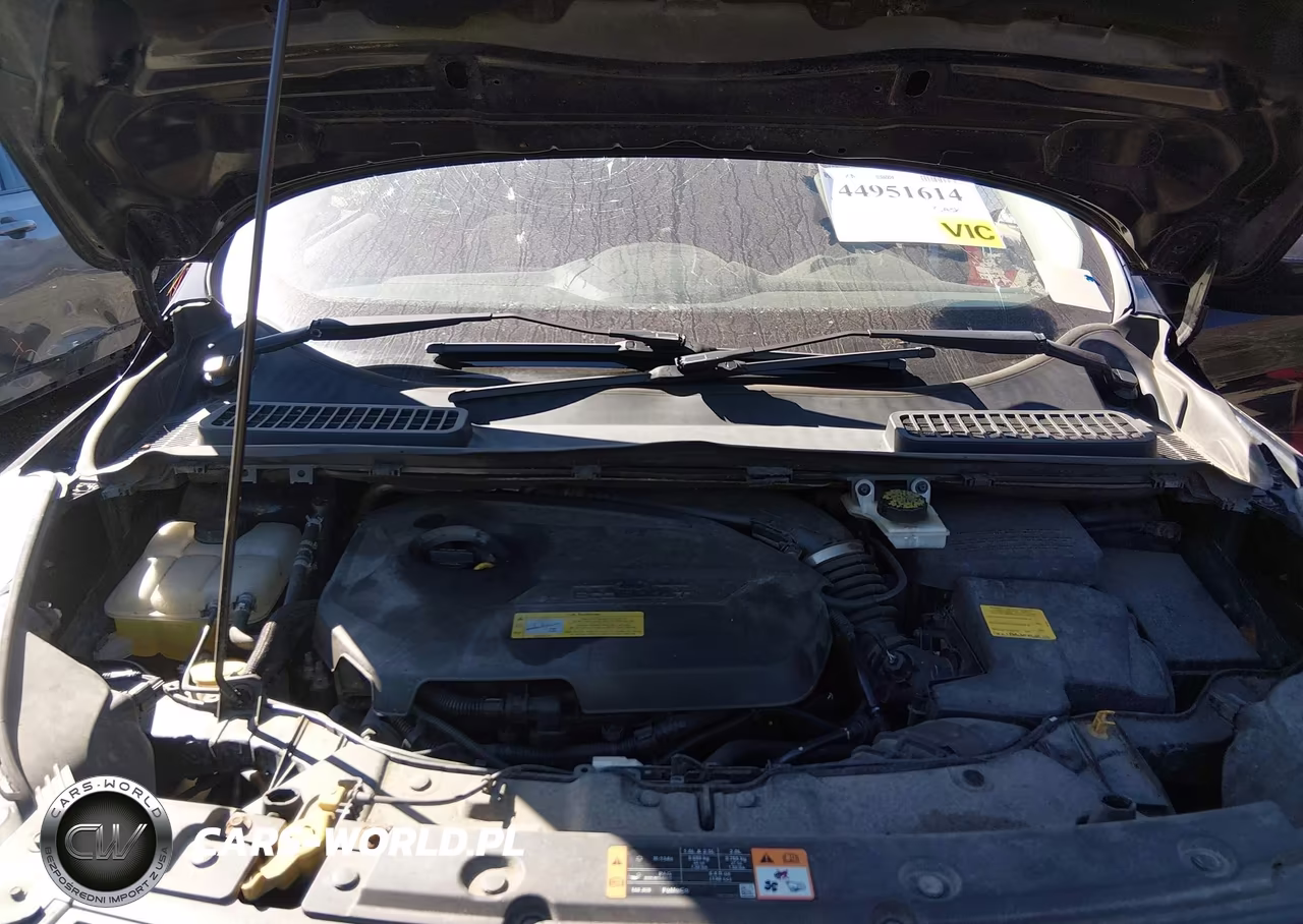 2014 Ford Escape Se VIN:1FMCU9GX7EUC09871 - 10