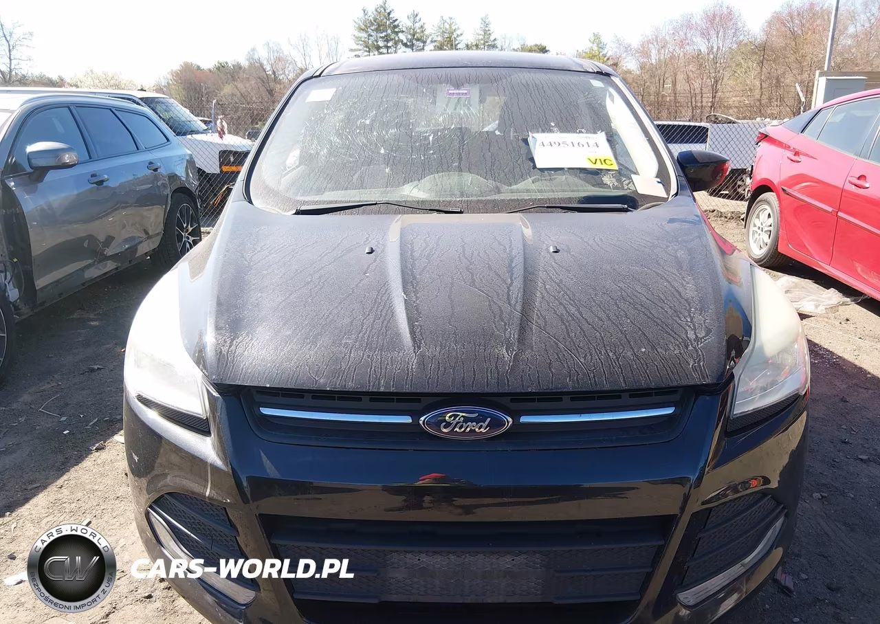 2014 Ford Escape Se VIN:1FMCU9GX7EUC09871 - 12