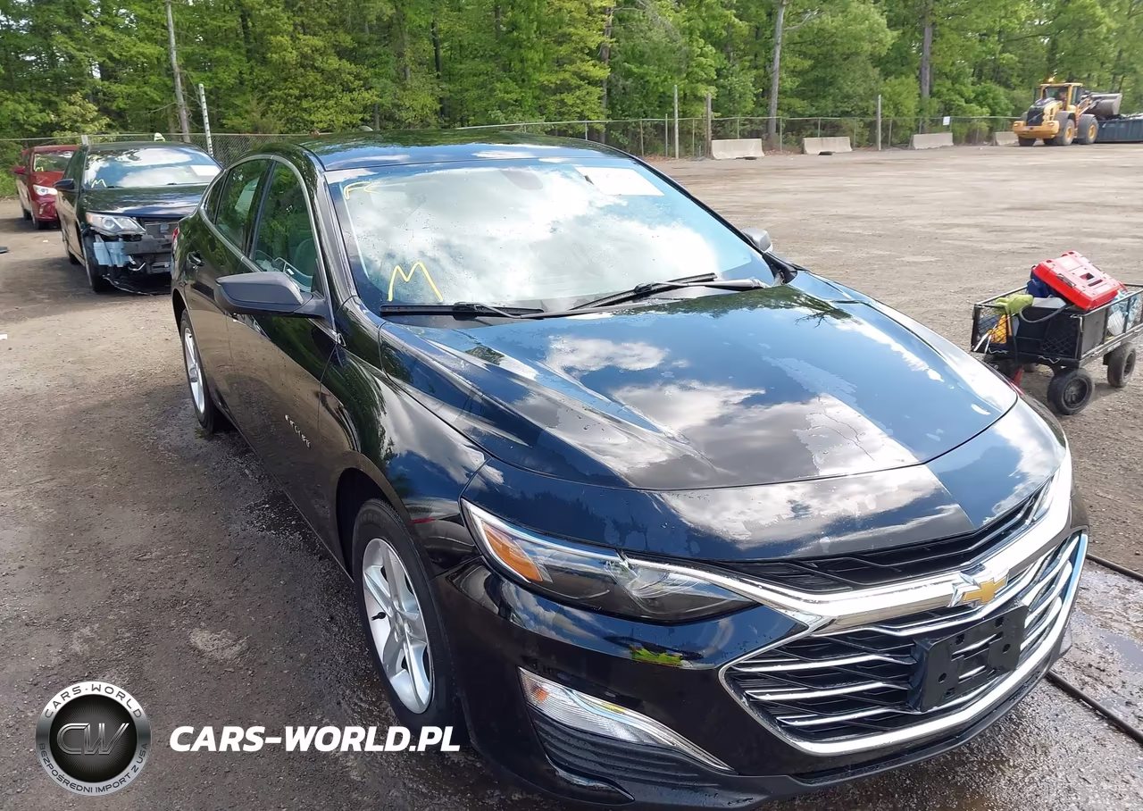 2019 Chevrolet Malibu 1Ls