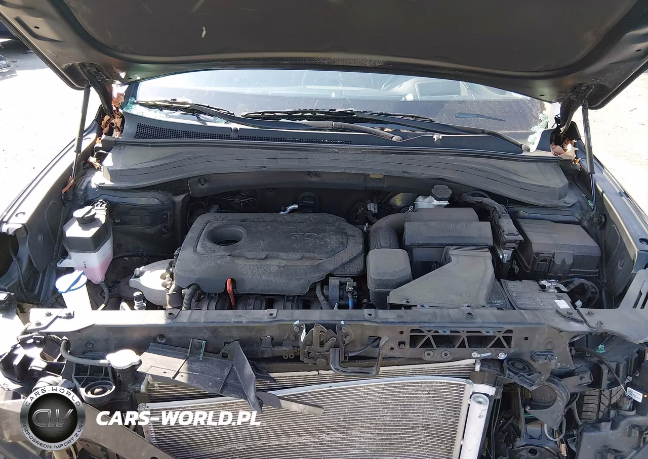 2020 Hyundai Santa Fe Limited VIN:5NMS5CAD1LH300731 - 10