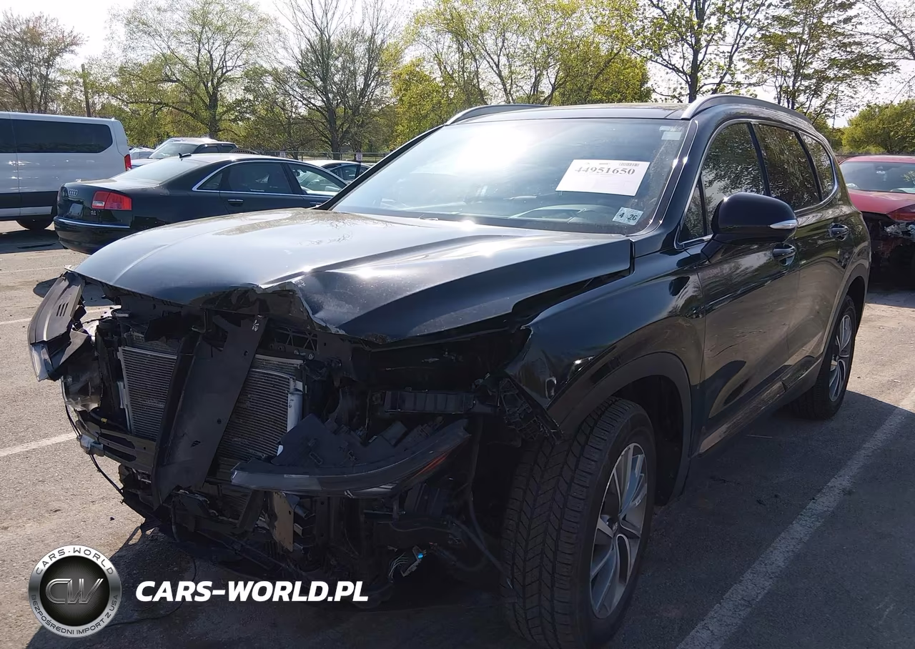 2020 Hyundai Santa Fe Limited VIN:5NMS5CAD1LH300731 - 2