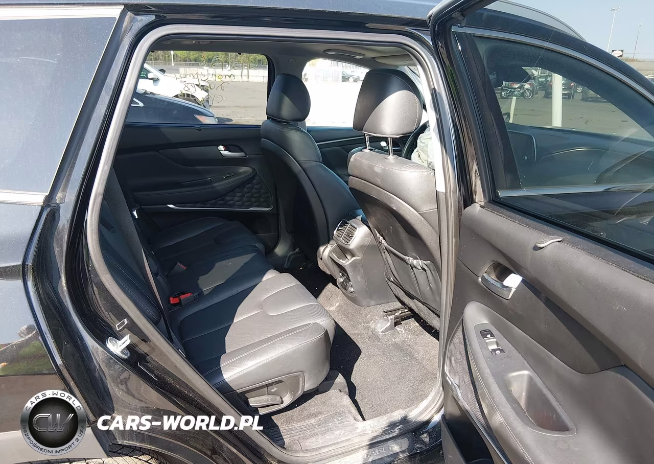 2020 Hyundai Santa Fe Limited VIN:5NMS5CAD1LH300731 - 8