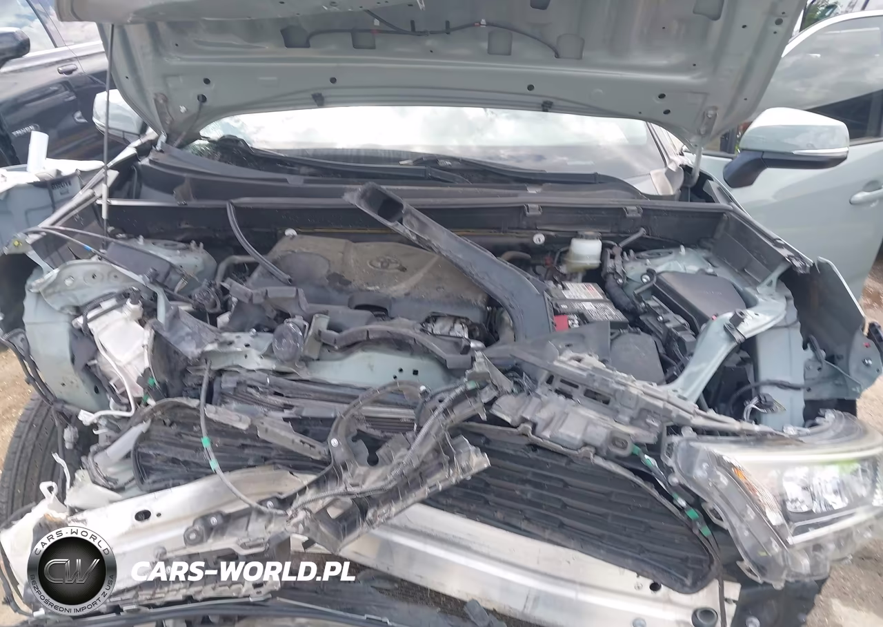 2019 Toyota Rav4 Xle VIN:JTMW1RFV5KD023543 - 10