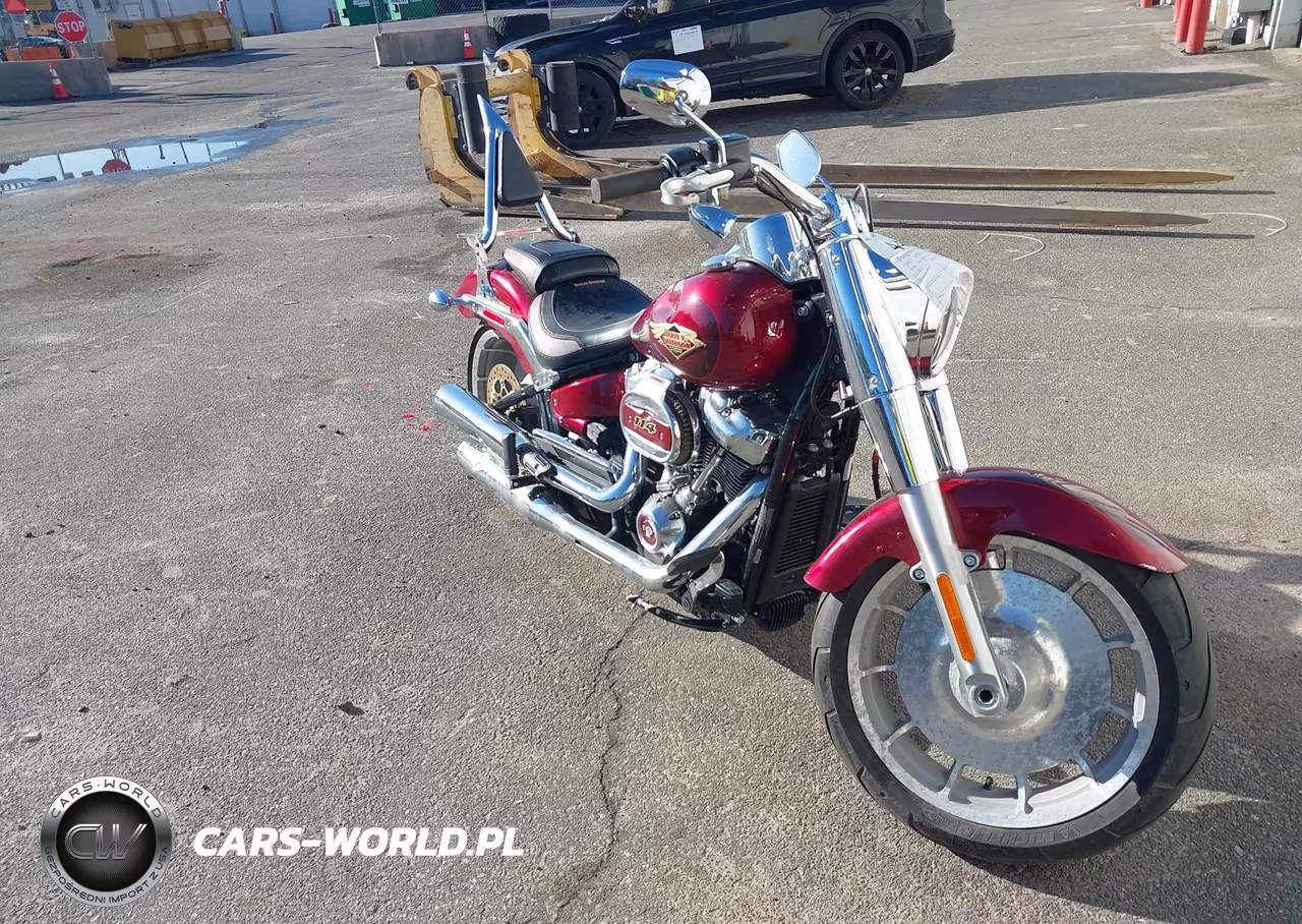 2023 Harley-Davidson Flfbsanv